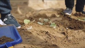 Видеоролик  _Мы против террора_