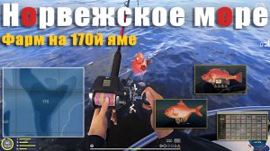 Фарм на 170 й яме • Окунь Золотистый • Русская Рыбалка 4 • Норвежское Море