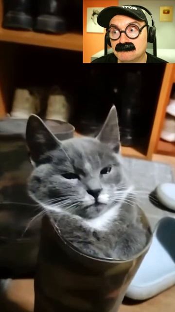 Кот в сапоге смотреть онлайн