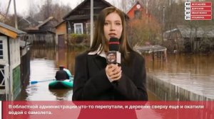 ПВН. #11 Дмитрий Журавлёв, Олеся Иванченко и непревзойденный  Денис Дорохов