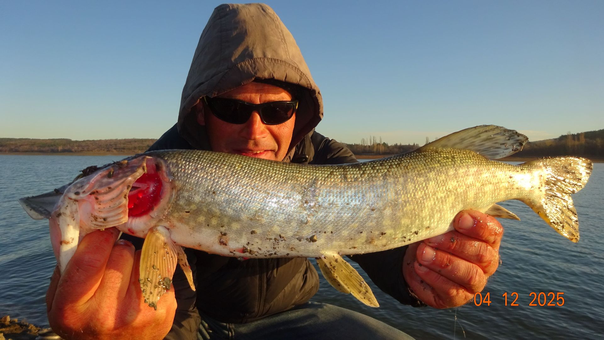 Щука судак в декабре на живца. 2025