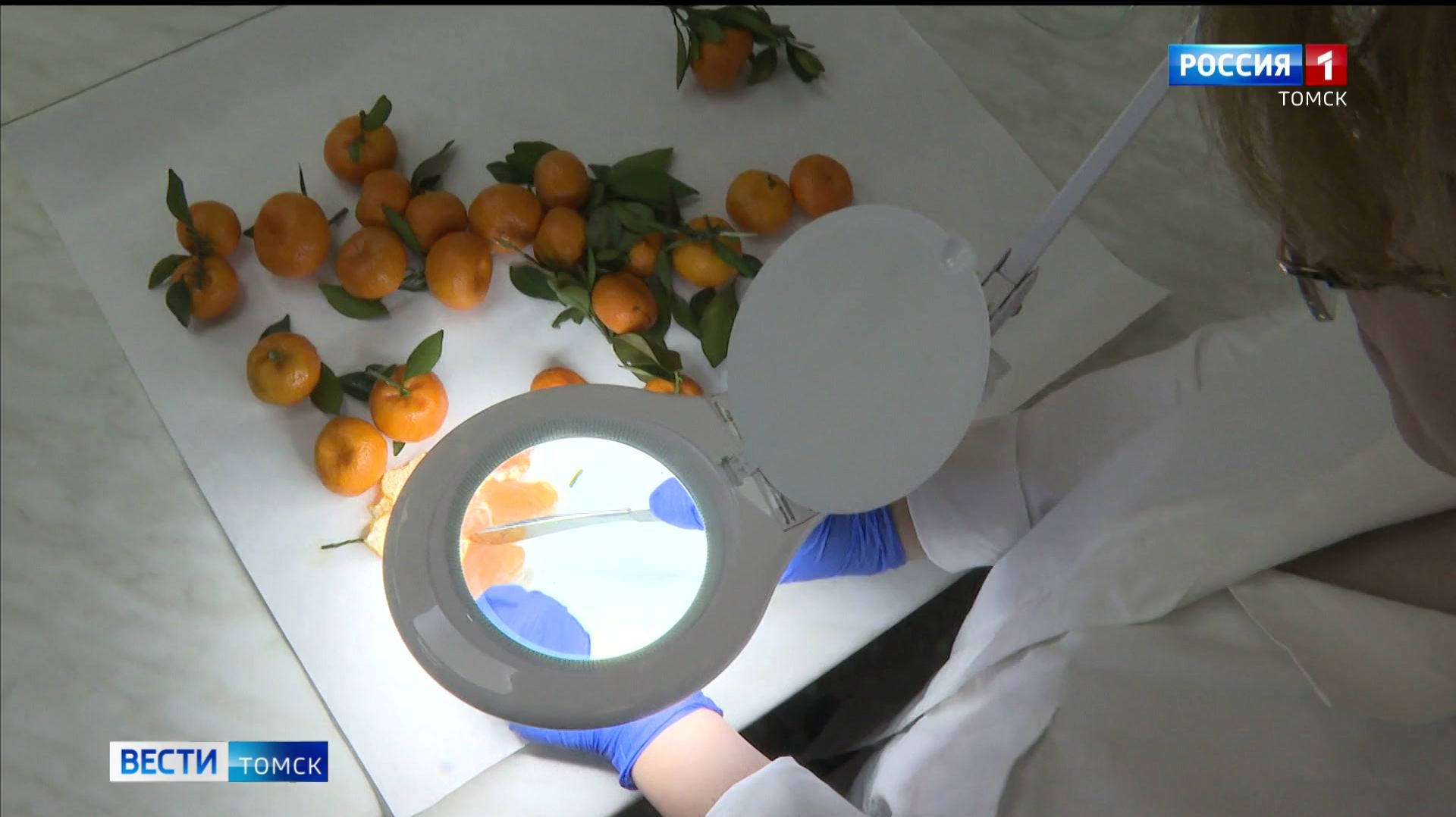 Вести-Томск, выпуск от 03.12.2025 21:10