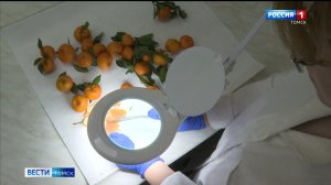 Вести-Томск, выпуск от 03.12.2025 21:10