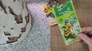 Зелёный огород в декабре .