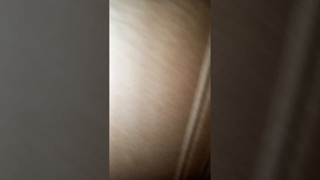 обновление дома Лютика. смотреть онлайн