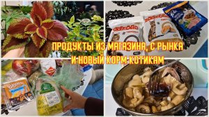 Грибное ассорти с груздями на ужин. Готовимся к НГ. Колеусы в ноябре.