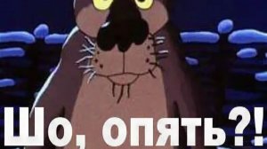 Шо опять!?