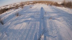 охота на зайца 2025-2026