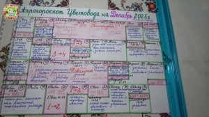 Лунный календарь цветовода на декабрь 2025: когда сажать и пересаживать?