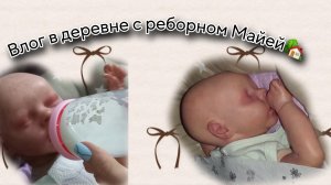 Влог в деревне с реборном Майей🏡