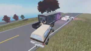 Я увидел что полицейских и решил им помочь. ПРОДАЖА АМЕРИКАНСКИЕ РАВНИНЫ.