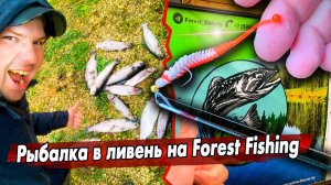 Jara Baits Boxter в очередной раз затащил! / Ловим форель в любую погоду/ Рыбалка на Forest Fishing