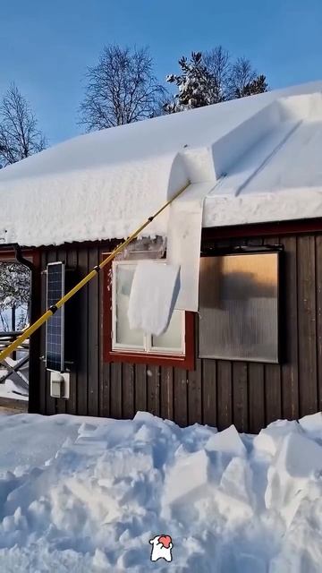 Зимняя сказка