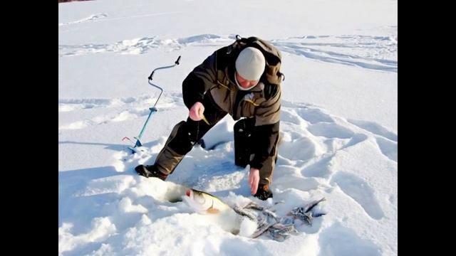 Оживление фотографии №29