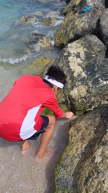 Круиз Персидский залив Остров Сир Бин Яз  #путешествие #круиз #семья #саяхат #демалыс #отдых #отпуск