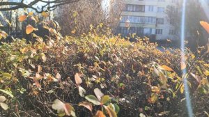 Один из дней города Евпатории | 6 января 2021 год | Крым | ХАН БАТОН XAH 6ATOH | VID_20210106_140835