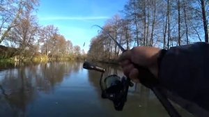 НУ И РЫБАЛКА ВЫШЛА, РУКИ В КРОВЬ ОТ ЭТОЙ РЫБИНЫ. Натаскал щук в микро речке. Рыбалка на спиннинг