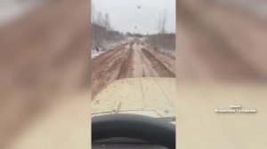 Новости Кирова 03.12.25