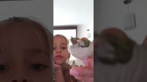 Распаковка