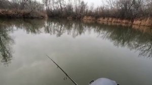 Как ветер влияет на клёв хищника_ Закрытие сезона 2025.