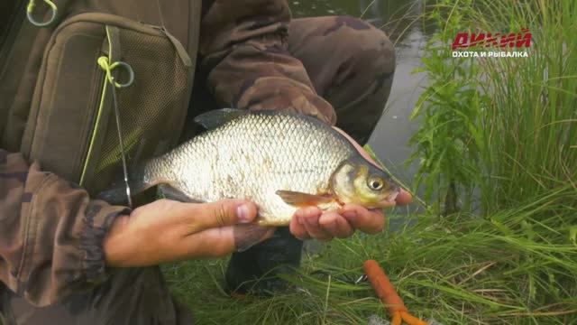 Рыбалка в Беларуси. Полудонка