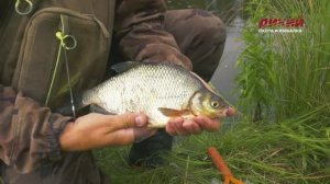 Рыбалка в Беларуси. Полудонка
