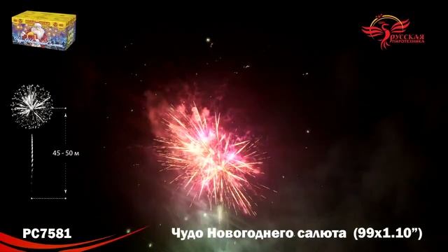 Чудо новогоднего салюта 11х99