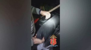 В Красноярском крае полицейские задержали браконьера, застрелившего двух сибирских косуль