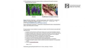 ППК Психолого-педагогическое теория - Консультация_1