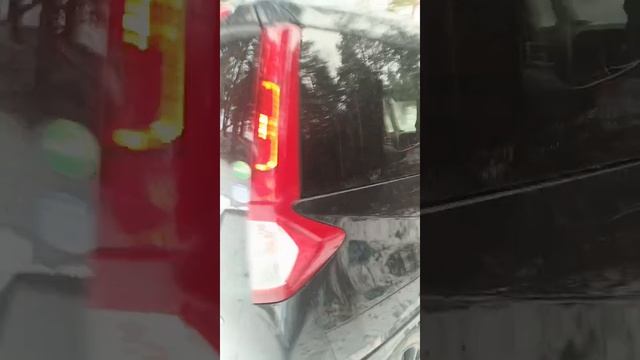 VID-20251204-WA0000 смотреть онлайн