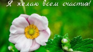 Молитва за мир во всем мире! Live 04.12.2025