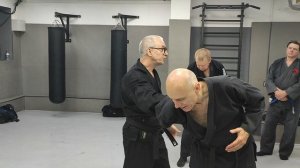 джиу-джитсу феникс