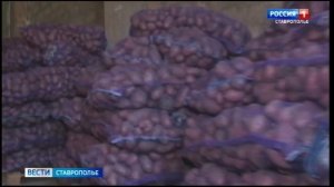 Вести. Ставропольский край» 4.12.2025 (11.30)