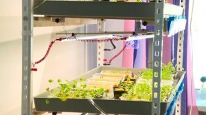 Агрокласс в СОШ с.Чапланово