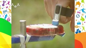 На старт! Спортивное ориентирование