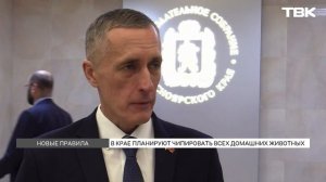 Чипирование домашних животных в Красноярском крае: что известно?