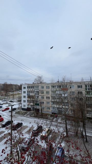 04-12-2025 смотреть онлайн