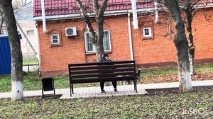 Моя любимая станица! Мой тёплый край!