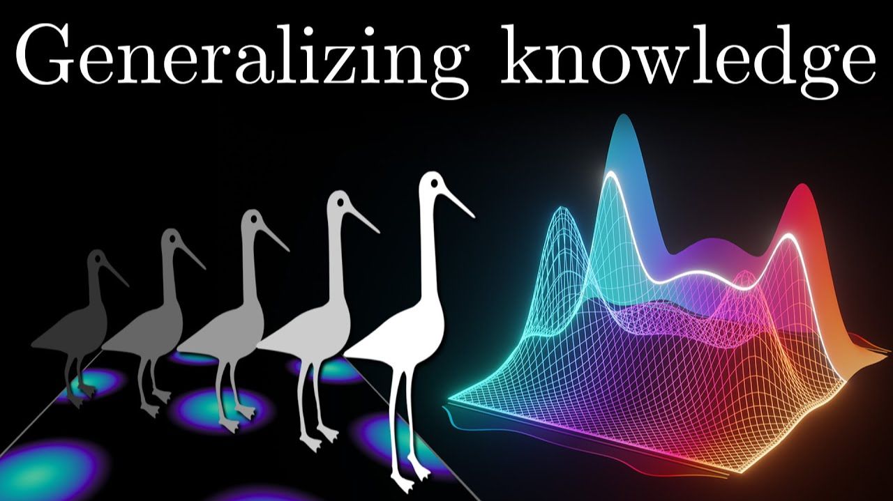 Как ваш Мозг организует информацию