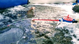 ЗИМНЯЯ РЫБАЛКА с ОТМЕННЫМ КЛЁВОМ