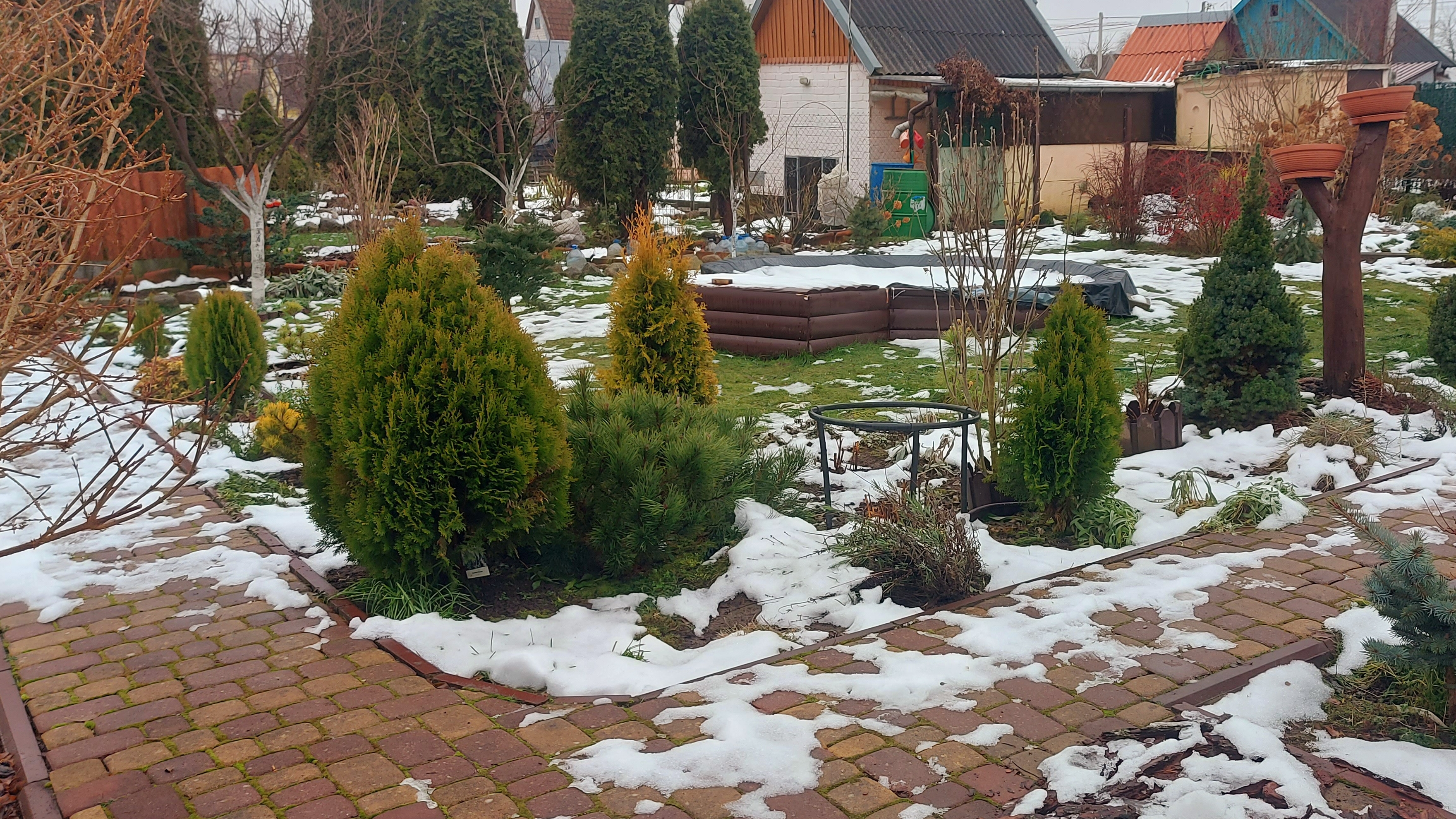 Дача в начале зимы.❄️.Начала посев семян цветов на рассаду🌸