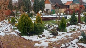 Дача в начале зимы.❄️.Начала посев семян цветов на рассаду🌸