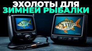 Обзор лучших эхолотов 2025 для зимней рыбалки