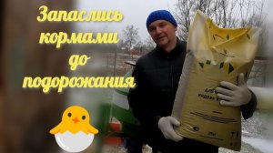 Гуси зашли в огород, заранее купили корма, опрессовали отопление