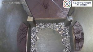 КВАНТОРИУМ АЧИНСК | Прямая трансляция из скворечника