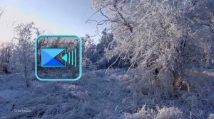 PowerDirector [12.2025](1)