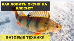 Техника ловли Окуня зимой на блесну. 1 серия