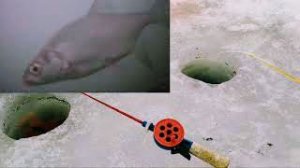 Рыбалка в Свердловской области. ПОДВОДНАЯ СЪЕМКА.