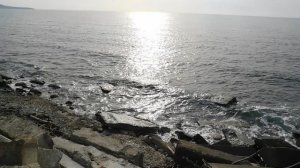 DSCN0298. Ольгинка Ноябрь 2025