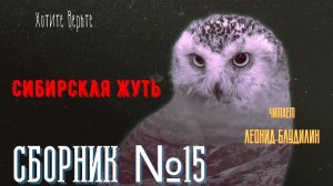 Сибирская Жуть: Сборник №15.